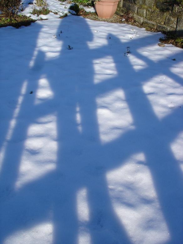 gate shadow on snow