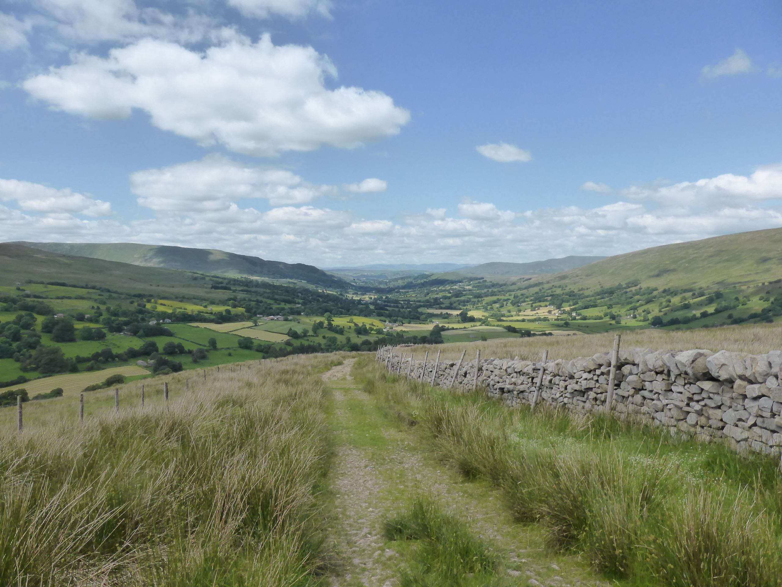 Dentdale view